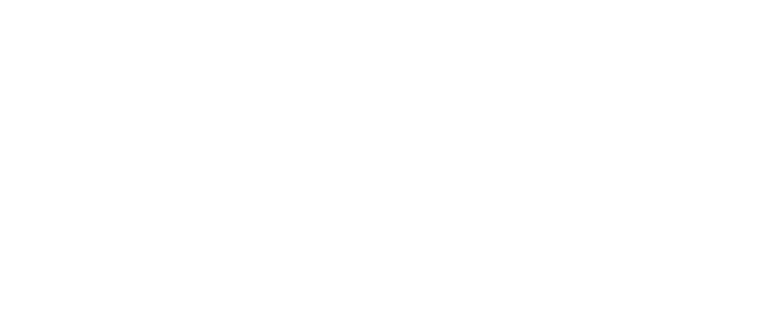 設立